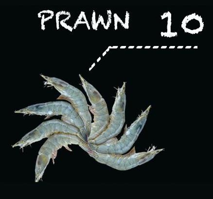 Prawns_0