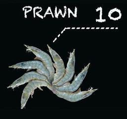 Prawns