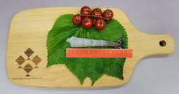 200g 越南 生鳳尾蝦  (約5-7隻/pack)