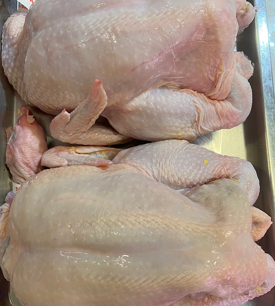 Fresh Pullet (新鲜鸡)_0