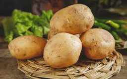 Potato / 土豆