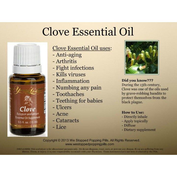 Clove 15ml