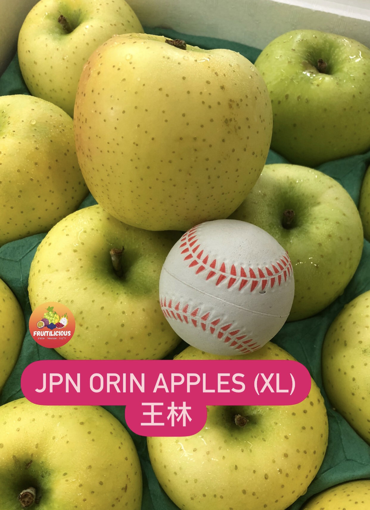 JPN ORIN APPLES (XL)_1