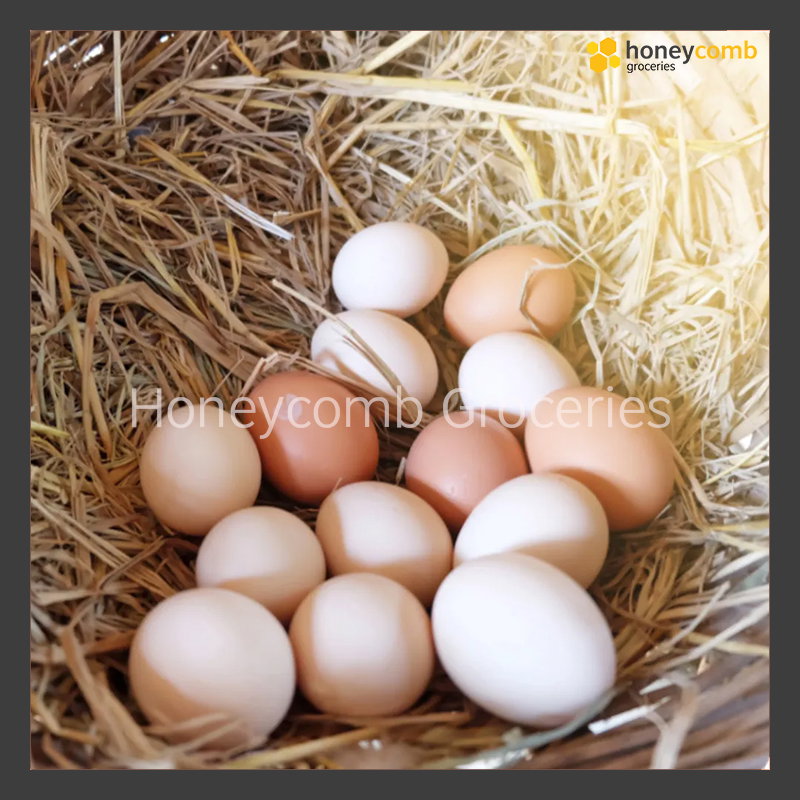 Kampung Eggs Grade A 10s_0
