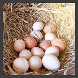 Kampung Eggs