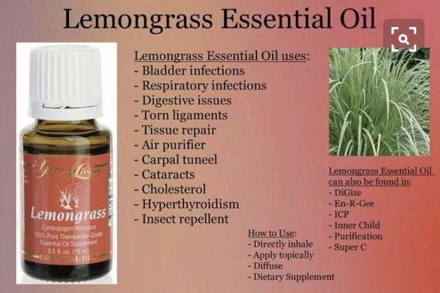 Lemongrass 15ml_0