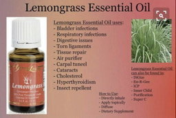Lemongrass 15ml