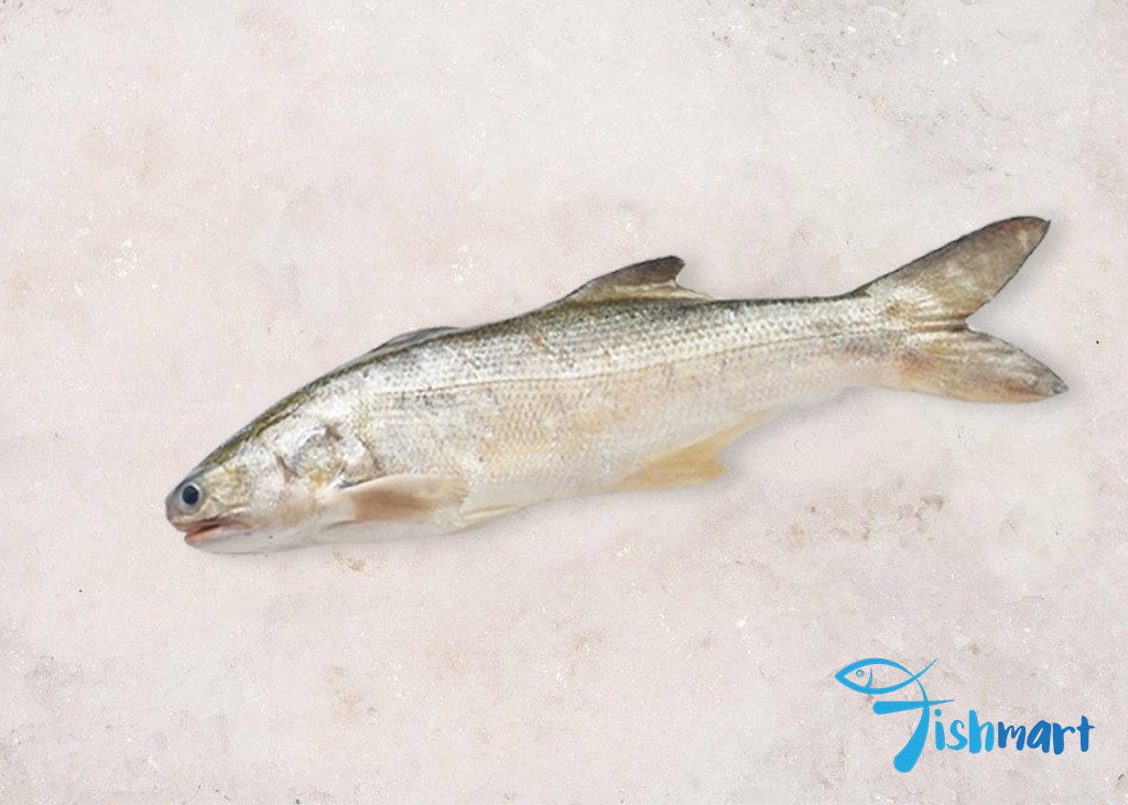 4kg Balai Threadfin Fillet_0