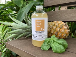 Kombucha 