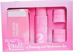 Beauty Vault Maintenance Set