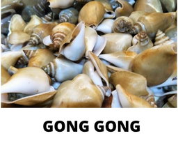 GONG GONG