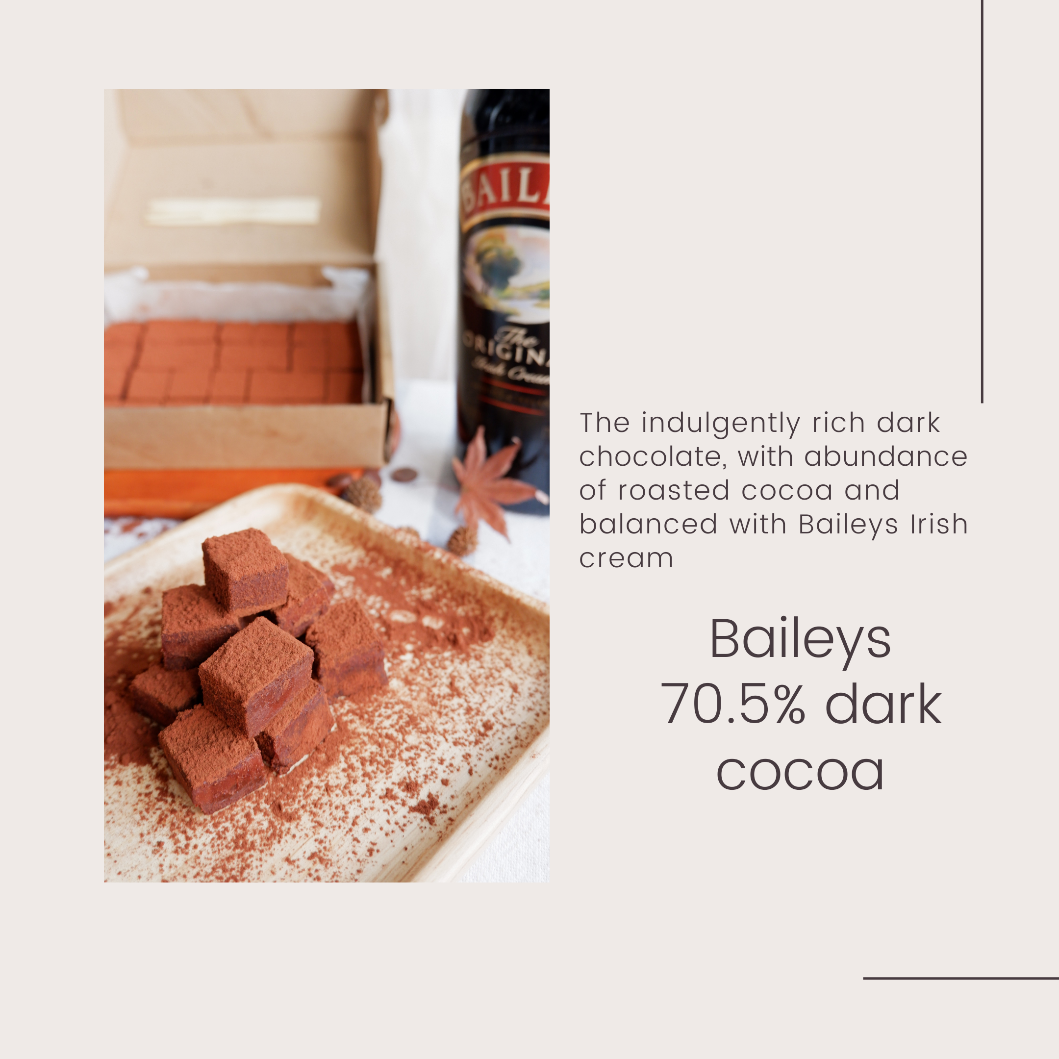 Absolute Dark Chocolate x Baileys