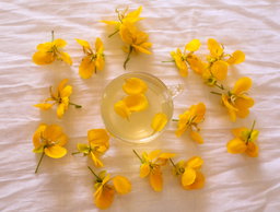 Aavarampoo Tea