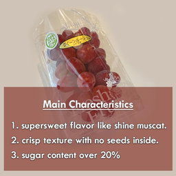 JPN NAGANO QUEEN ROUGE SL GRAPES