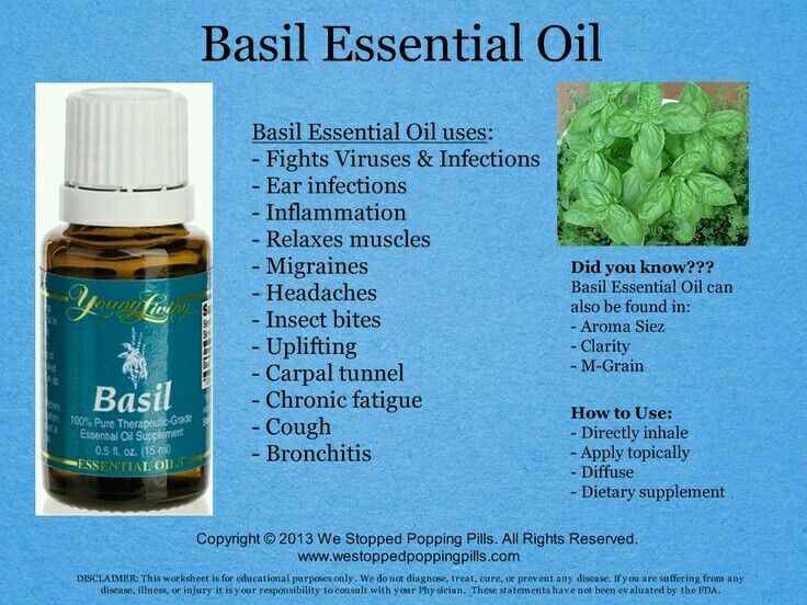 Basil 15ml (SALE)