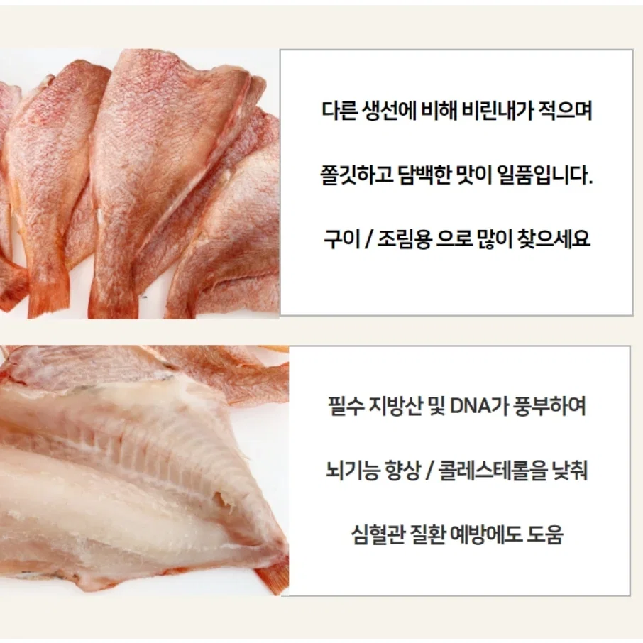 속초 두절열기포 (2마리) *_1