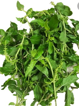 Tulasi