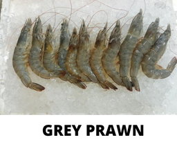 PRAWNS