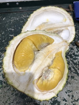 Whole Husk Durian Collection