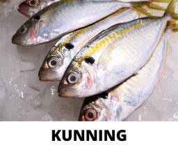 KUNNING