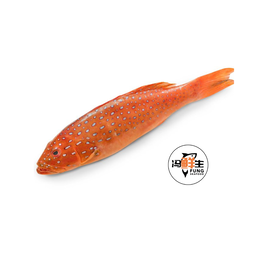 Red Grouper 红斑