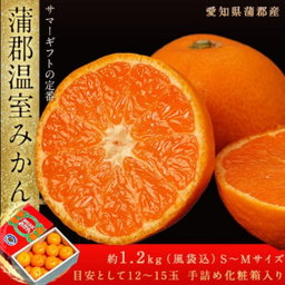 JPN AICHI GAMAGŌRI HOUSE MIKAN GIFTBOX (1.2KG)