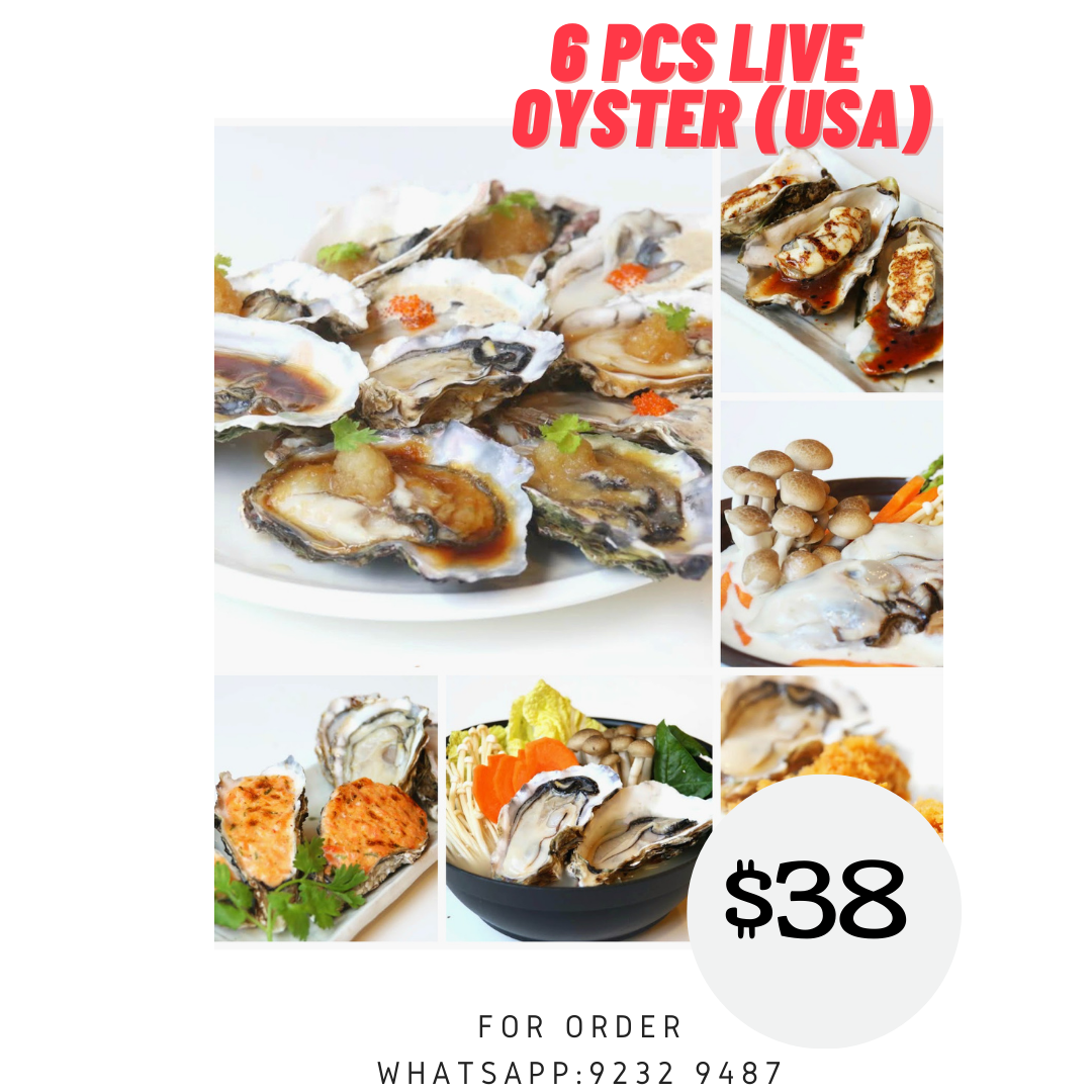 Live Usa Oyster (Half Dozen) 美国生蚝6粒