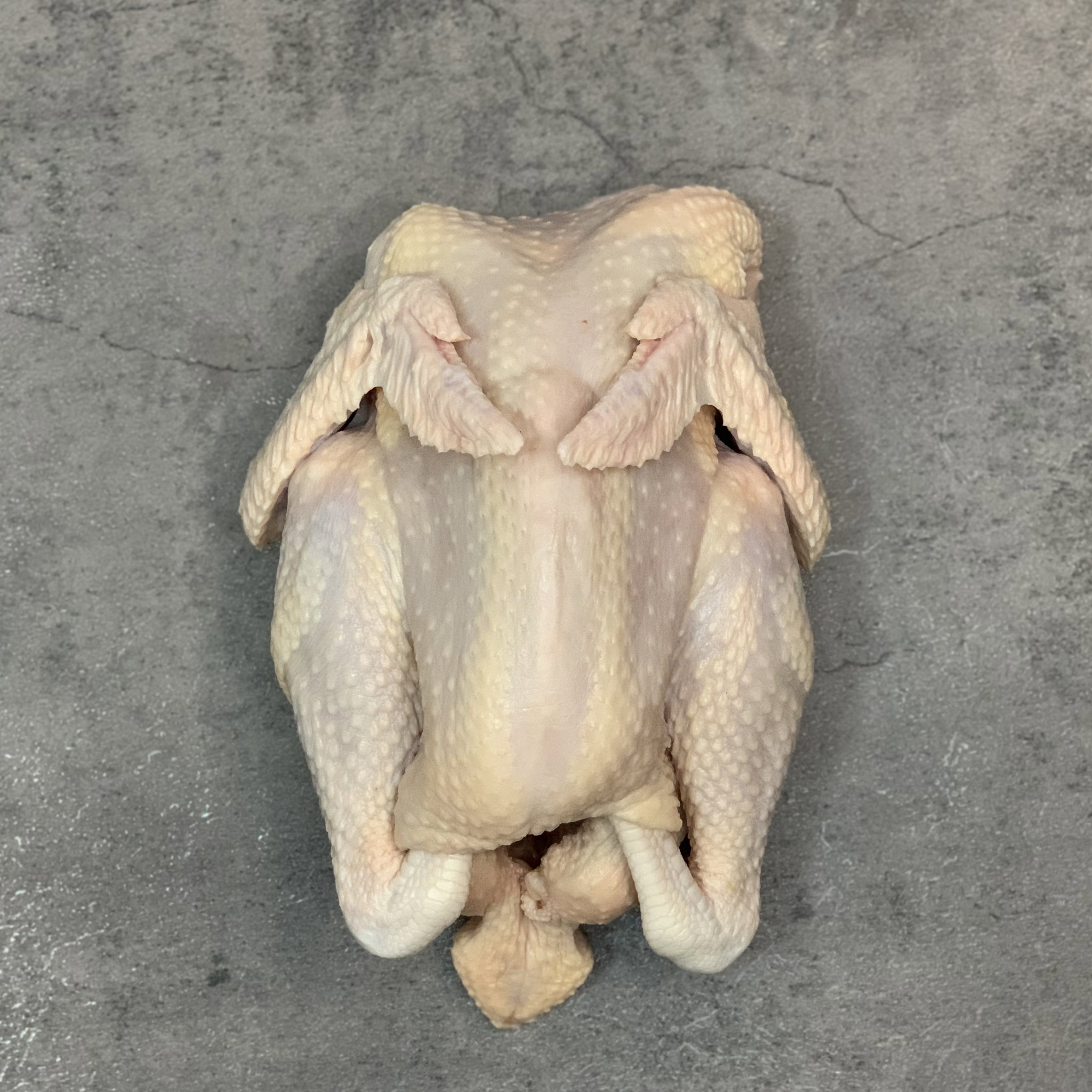 [READY STOCK Kampung Chicken (Whole) (M)_1