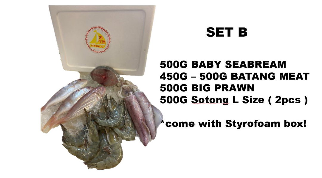 SET B 