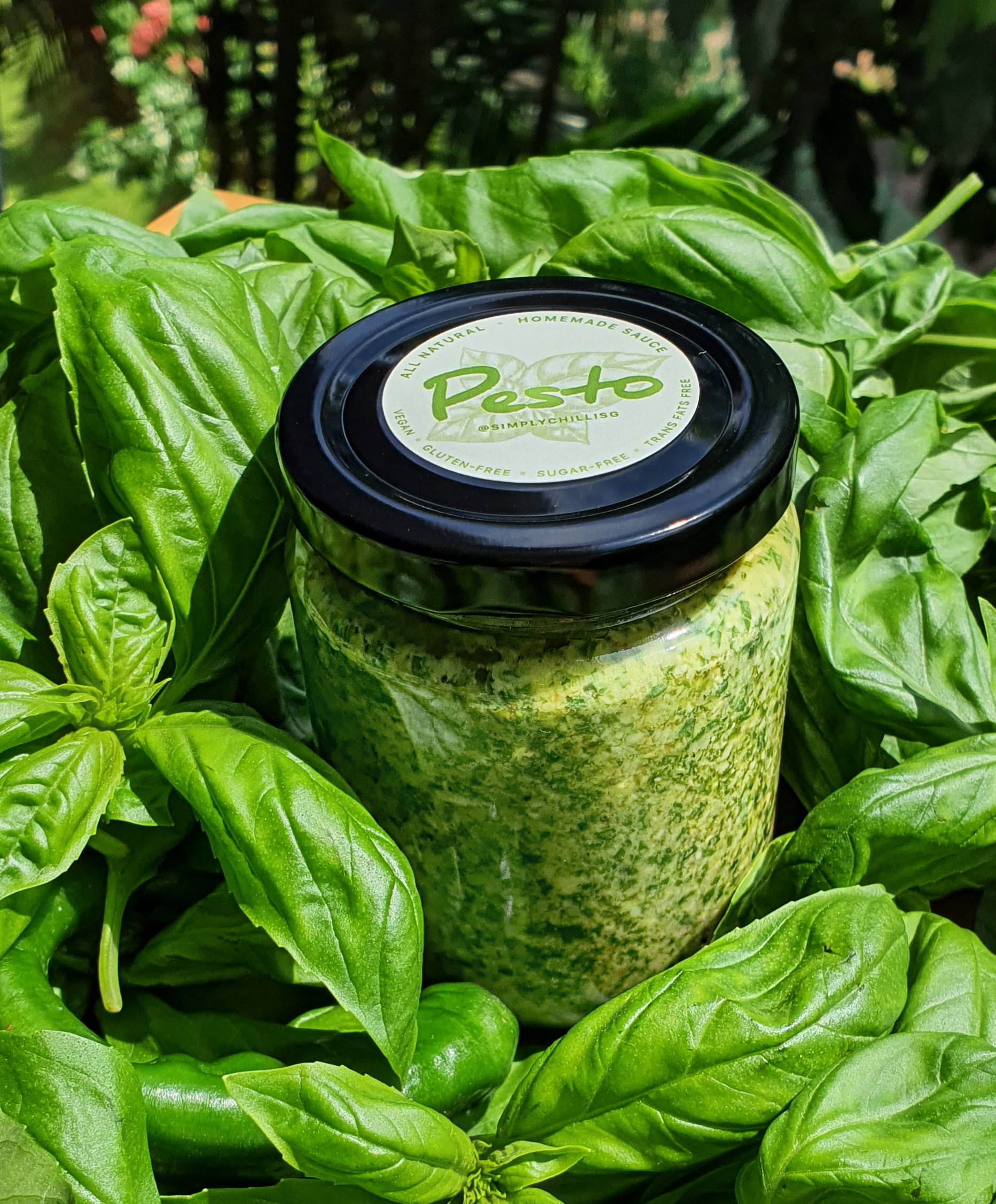 Pesto in Extra Virgin Olive Oil & Pine Nuts