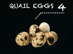 Quail Eggs