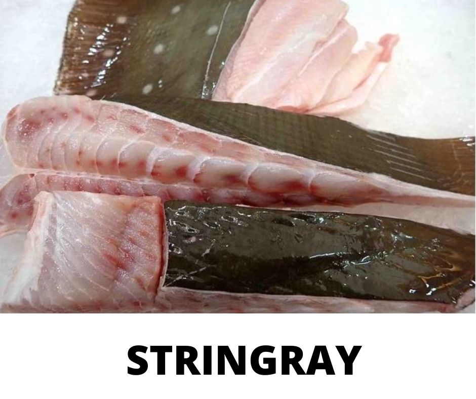 STRINGRAY_0