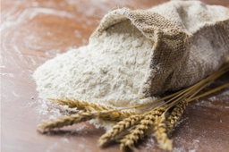 Premium Bread Flours