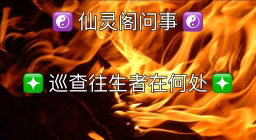 ❇️ 巡查往生者在何处 ❇️
