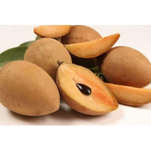 Sapotta (Country)_0
