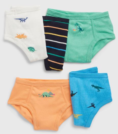 Organic Cotton Dino Briefs 5 pack_0