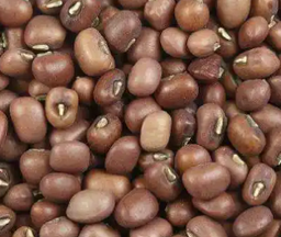 Black eyed Beans 