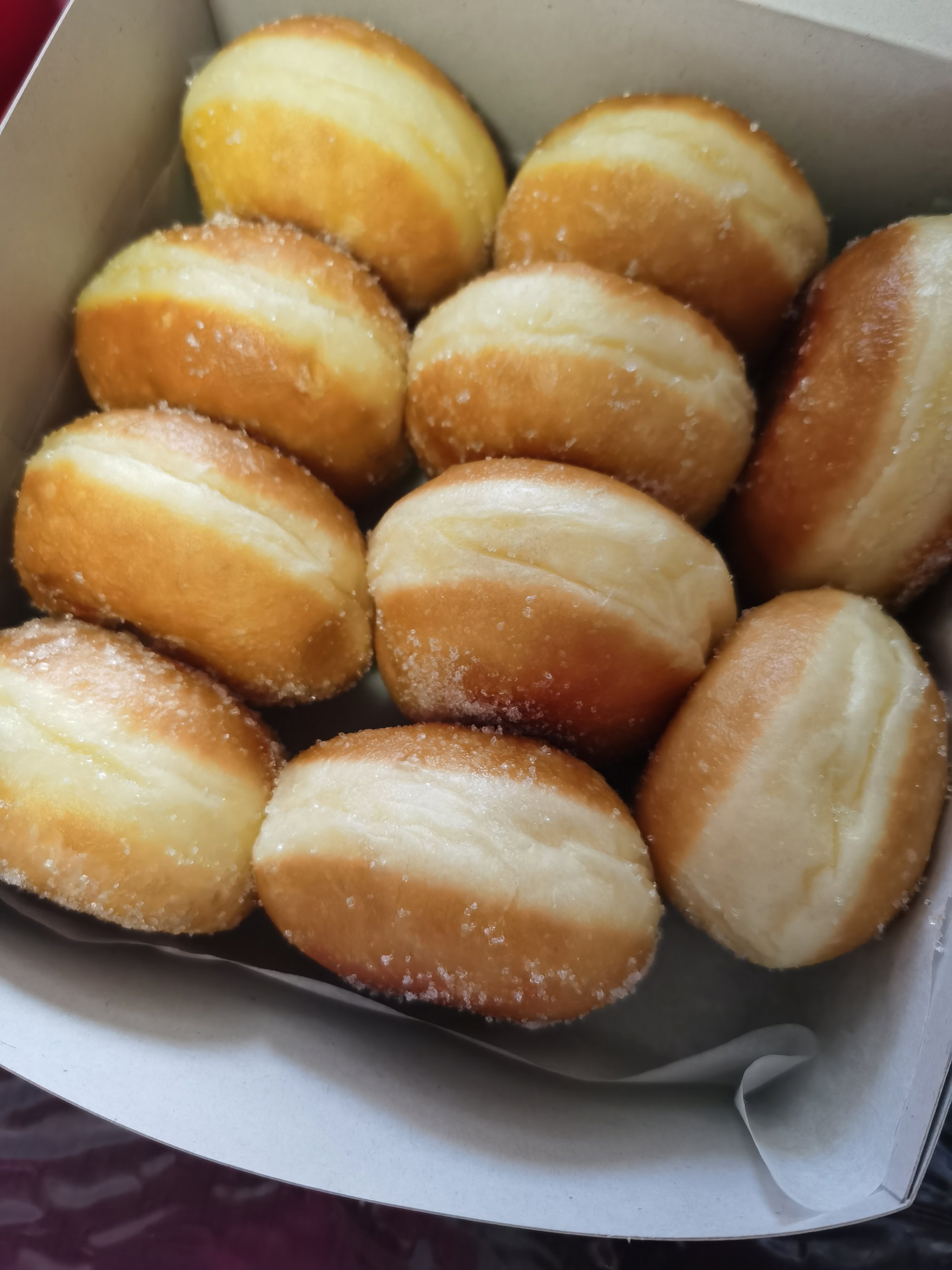 Regular Doughnuts [Plain]_0