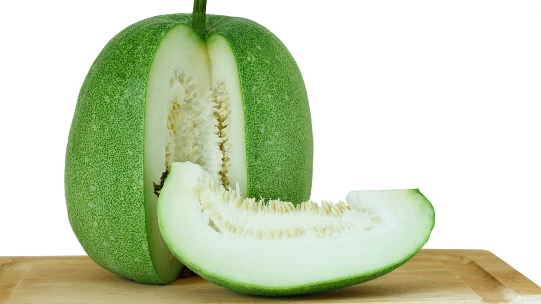 Ash Gourd_0