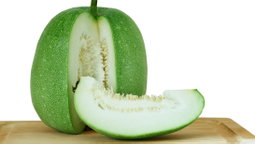 Ash Gourd