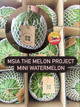 MINI WATERMELON