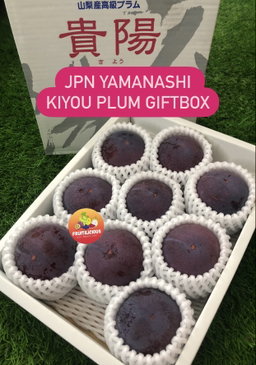 JPN YAMANASHI KIYOU PLUM GIFTBOX