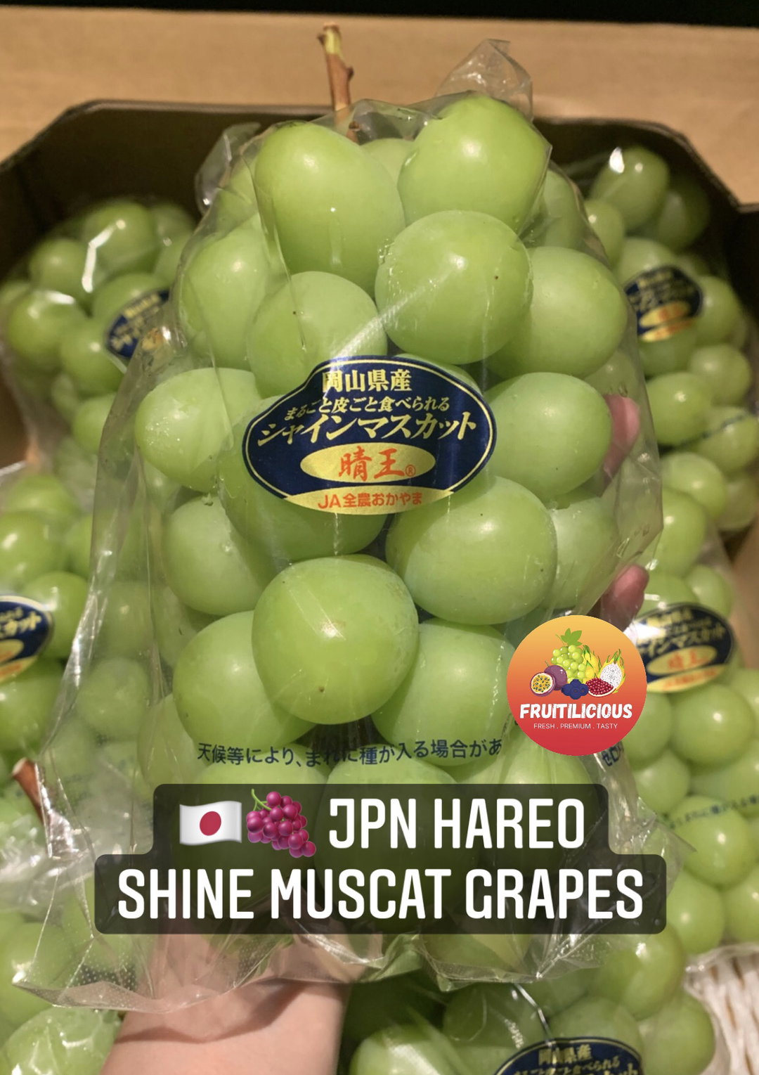 JPN OKAYAMA HAREO (晴王) SHINE MUSCAT GRAPES
