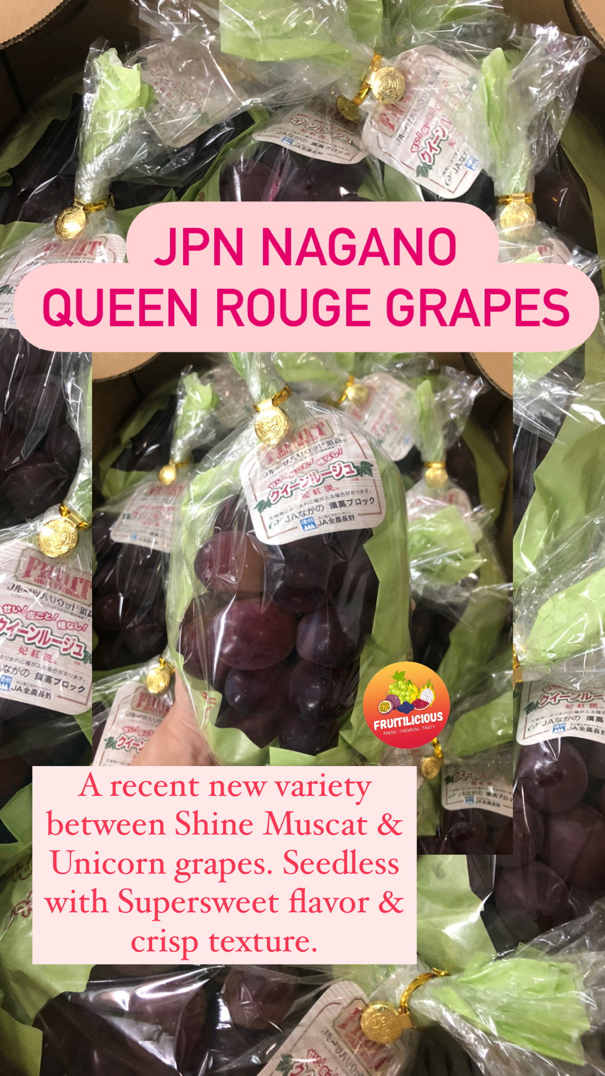 JPN NAGANO QUEEN ROUGE SL GRAPES_4