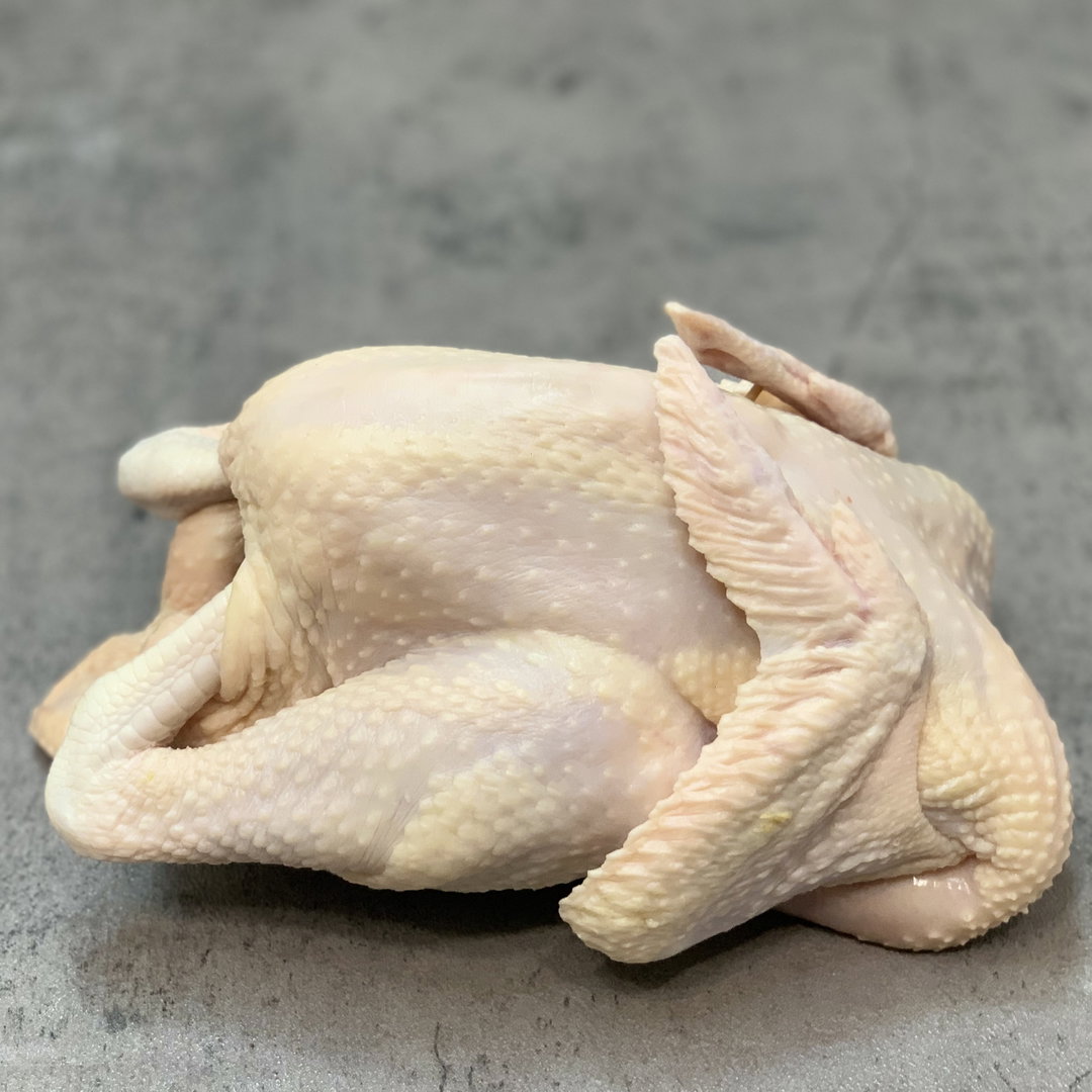 [READY STOCK Kampung Chicken (Whole) (M)
