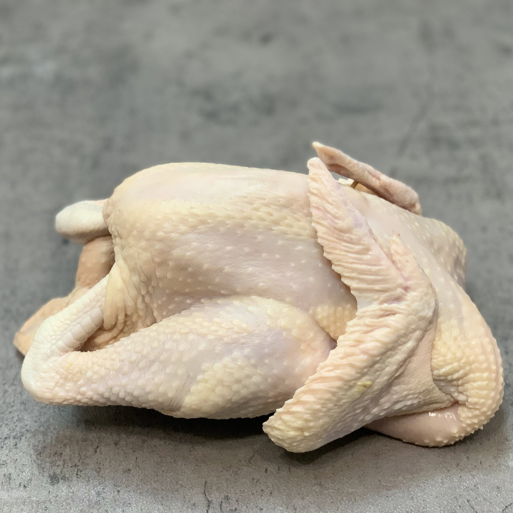 [READY STOCK Kampung Chicken (Whole) (M)_0