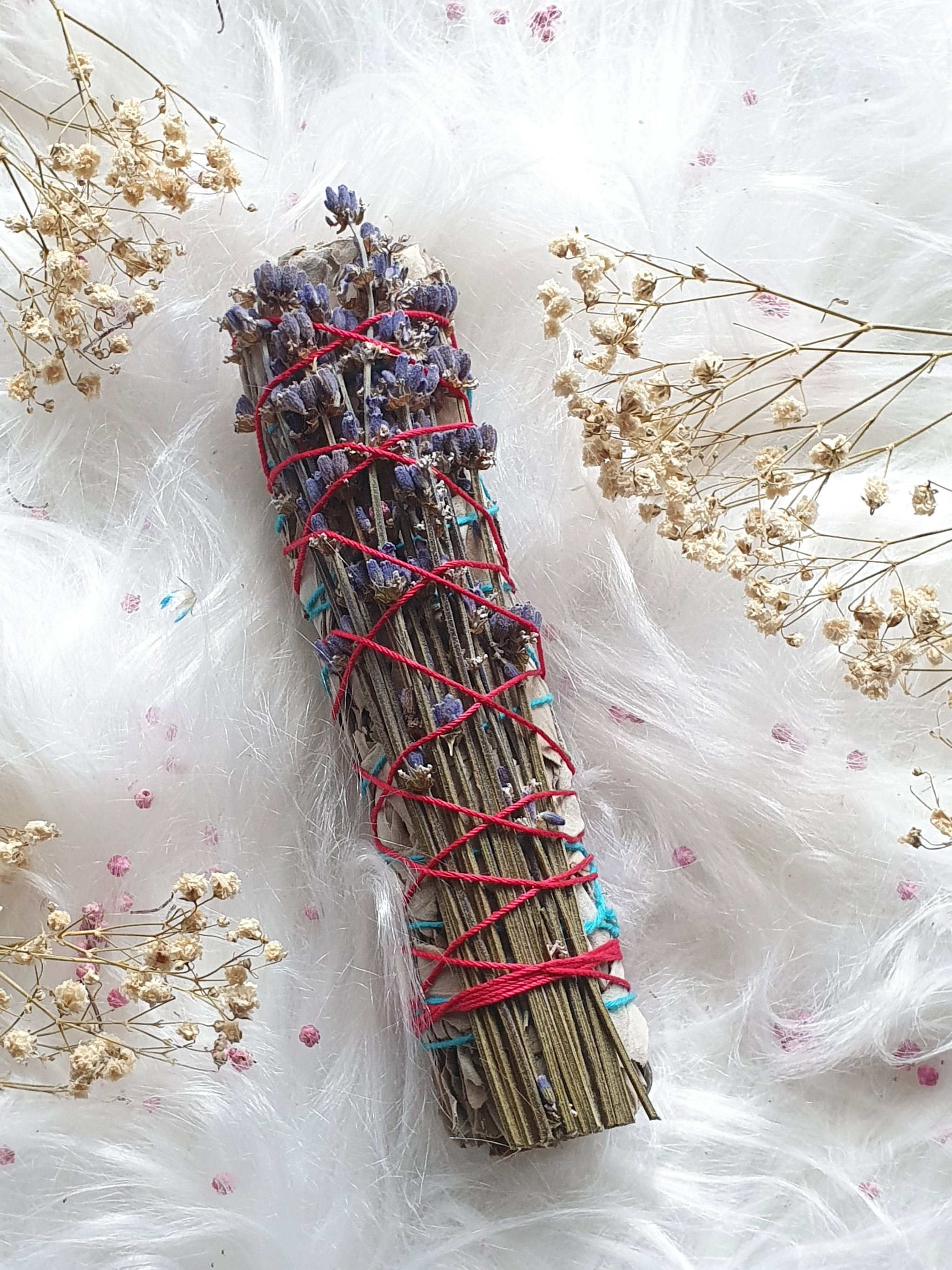 Lavender White Sage (15cm) _0