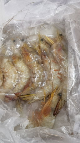 Prawn 虾