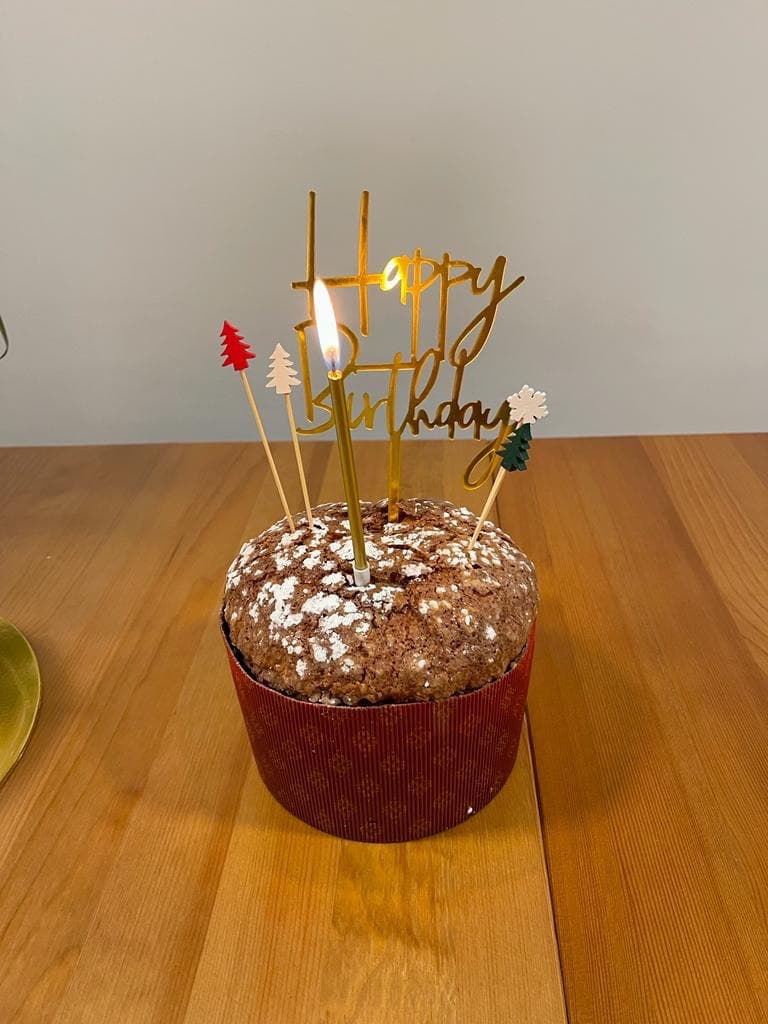 Chubby Panettone _4