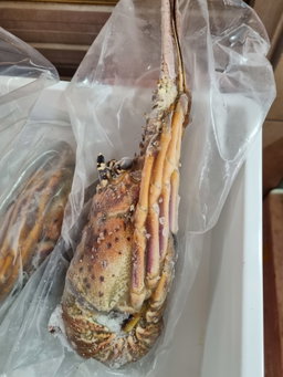 USA IQF Rock Lobster (raw)